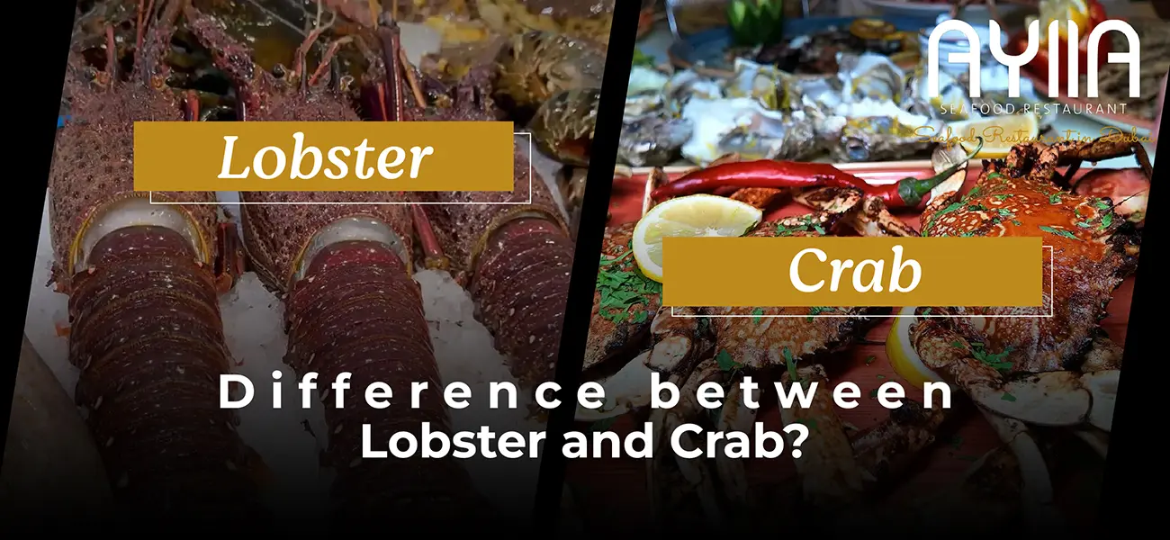 Difference Between Lobster and Crab